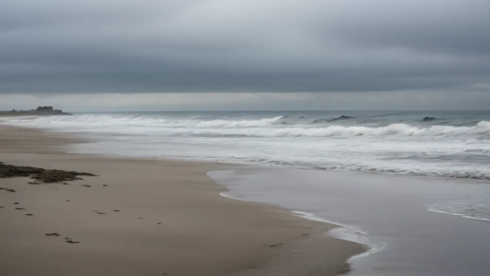 Descoperire Macabră pe Coasta Scoțiană: Un Picior Uman Găsit pe Plajă, Încălțat