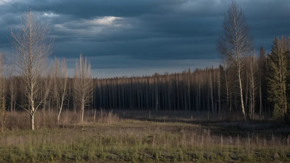 Misterele și secretele Cernobîlului: 35 de ani mai târziu