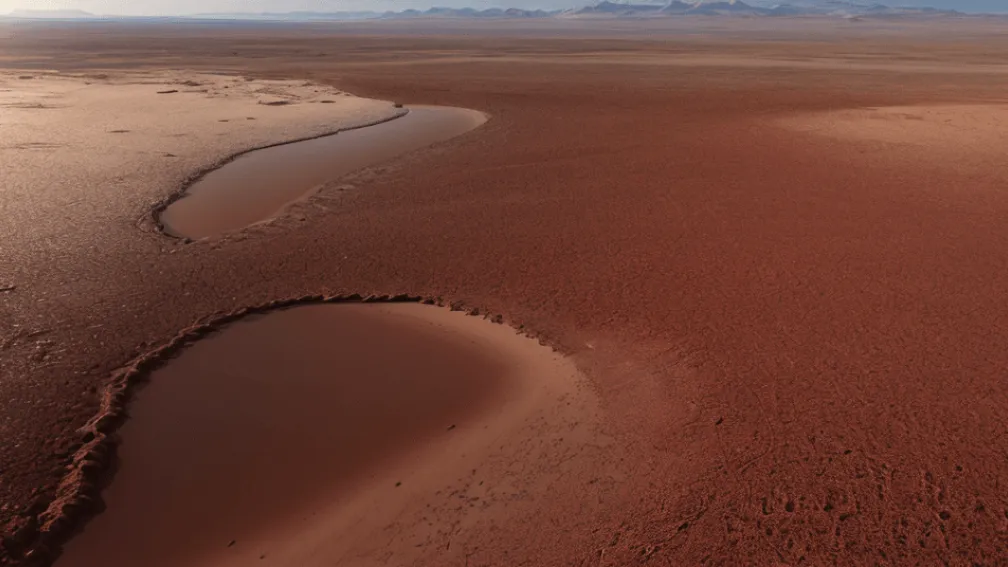 Măcelarul de pe TikTok: Comandantul miliției sudaneze RSF se laudă cu execuțiile în masă