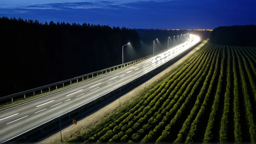 Construcția autostrăzii A20 din Germania, reluată după 10 ani de dispute privind liliecii