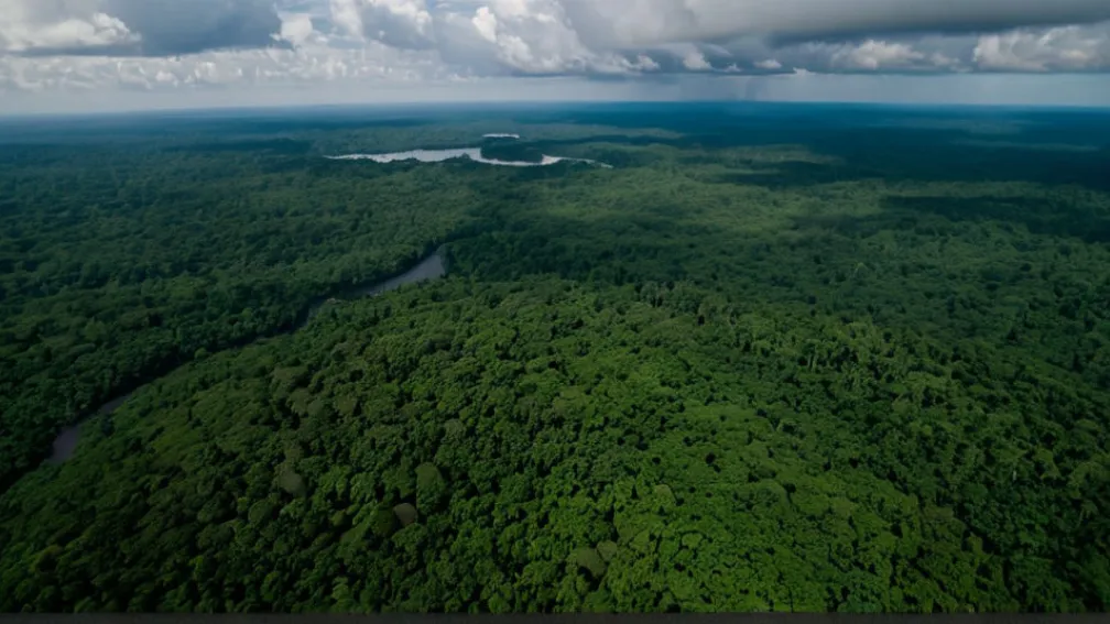 Raportul "Puncte de Cotitură Globale" avertizează înainte de Conferința climatică COP30