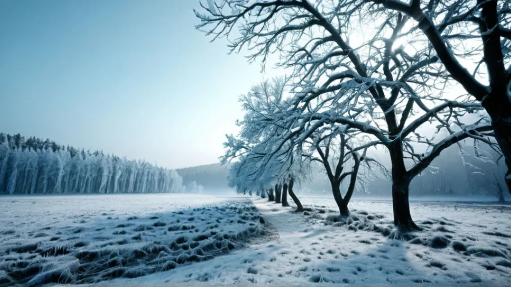 Germania, lovită de un val de frig: Iarna a sosit devreme după o toamnă neobișnuit de caldă