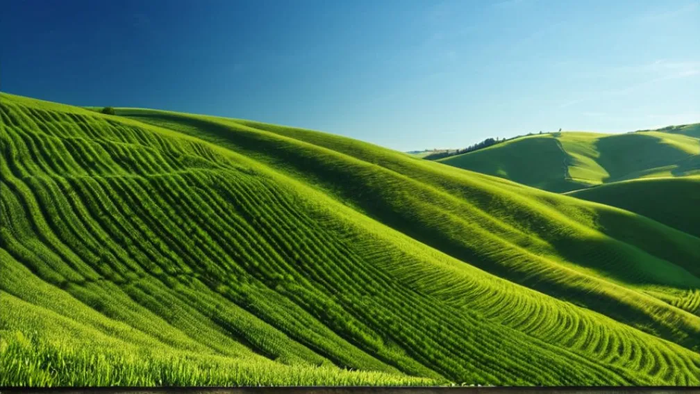 Hessen, al doilea cel mai sănătos stat federal din Germania, conform studiului Barmer