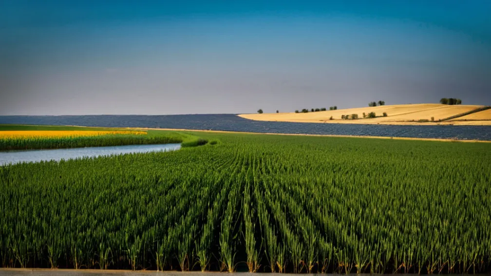 Istoria și dezvoltarea limbii române