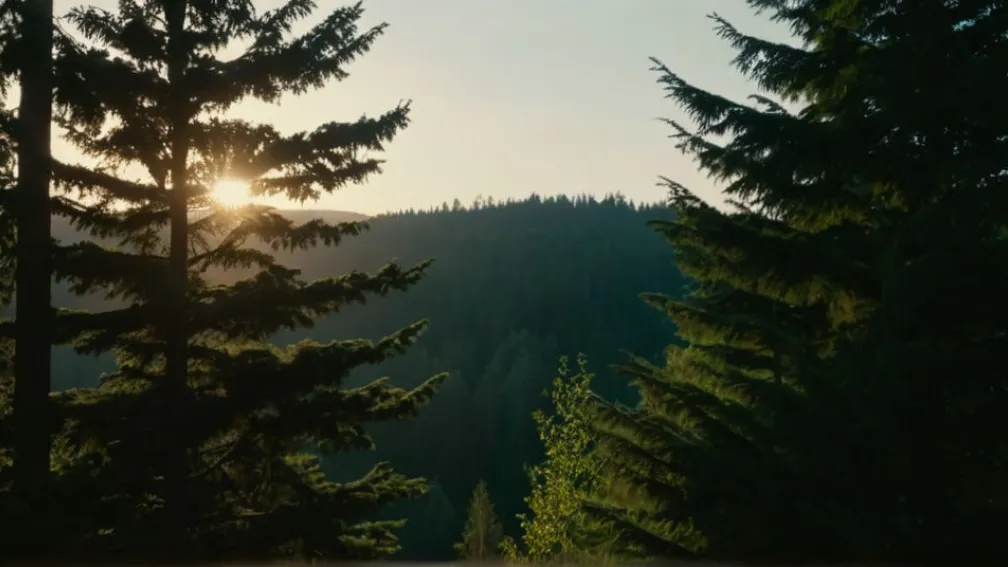 Explozie puternică în Berlin: Detonarea a 800 kg de artificii ilegale a zguduit capitala