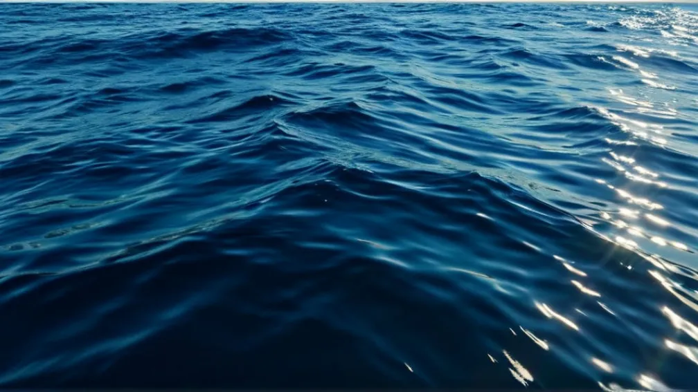 Tragedie pe Coasta Australiană: O Femeie Moare în Urma Unui Atac de Rechin