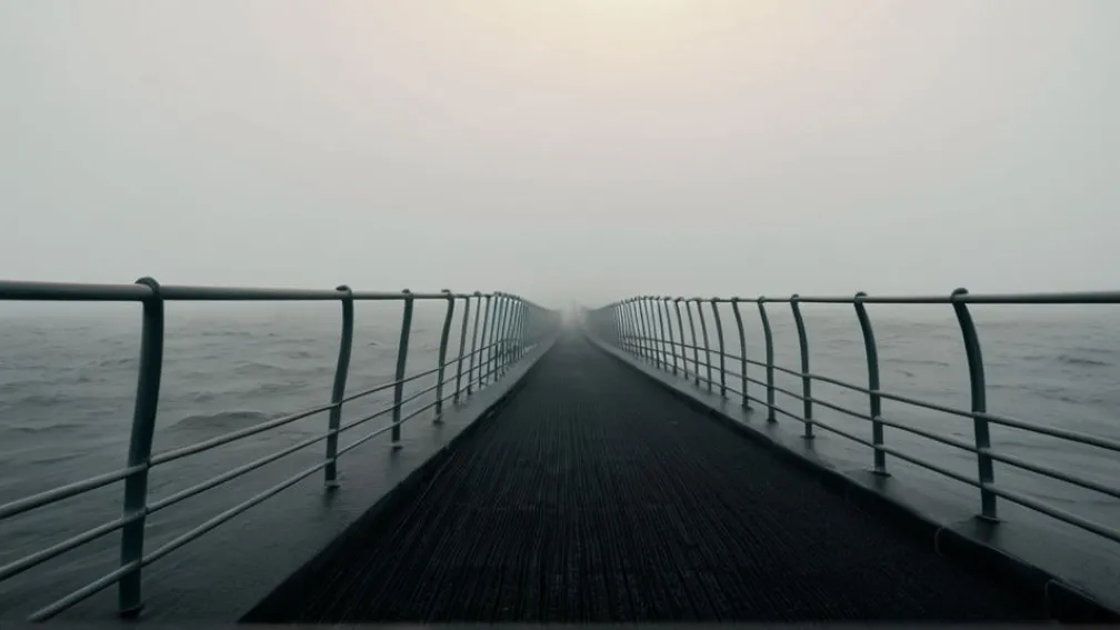 Partidul Verzilor din Germania se confruntă cu neîncrederea publicului: Doar 13% cred în succesul conducerii actuale