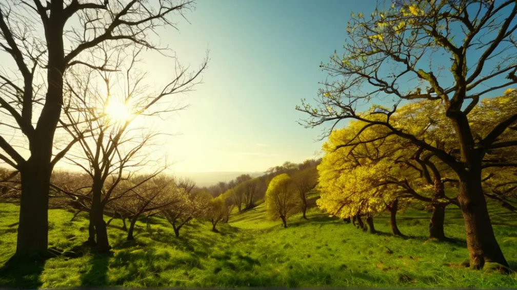 Vreme Neobișnuit de Caldă în Germania: Până la 18 Grade Celsius la Început de Decembrie