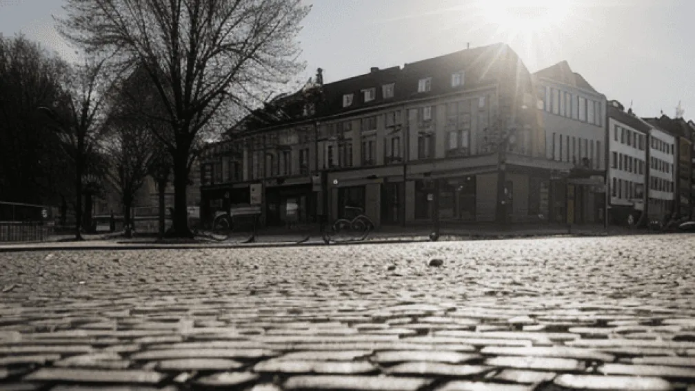 Bochum: Hoț amenință un localnic cu o creangă în timpul unui furt