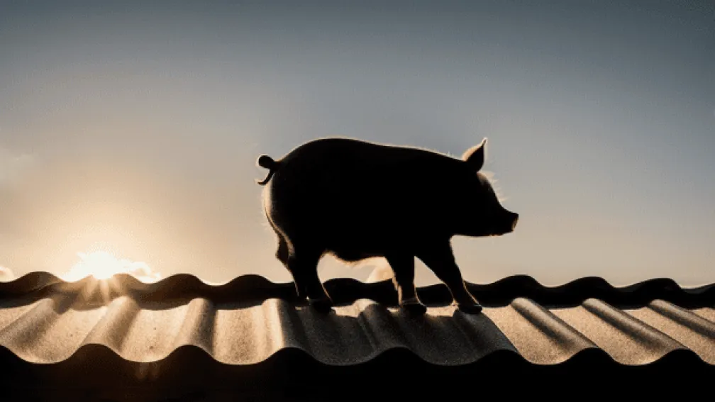 Salvare Inedită în Oldisleben: Pompierii Eliberează un Porc de pe Acoperișul unei Garaje