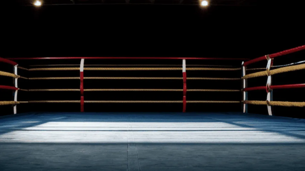 Fanii WWE în extaz la New York: Revenire surpriză în timpul meciului!