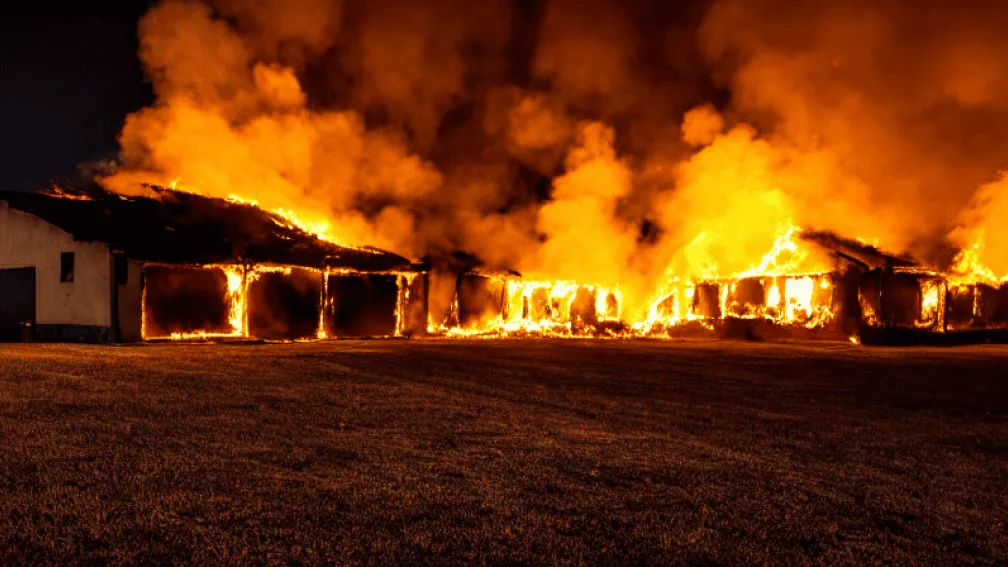 Incendiu puternic în Hamburg: 30 de locatari salvați dintr-un bloc în flăcări