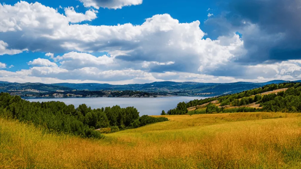 Soria se opune unei mega-ferme cu 4.368 de porci planificată lângă un lac de acumulare - Impactul asupra mediului și turismului