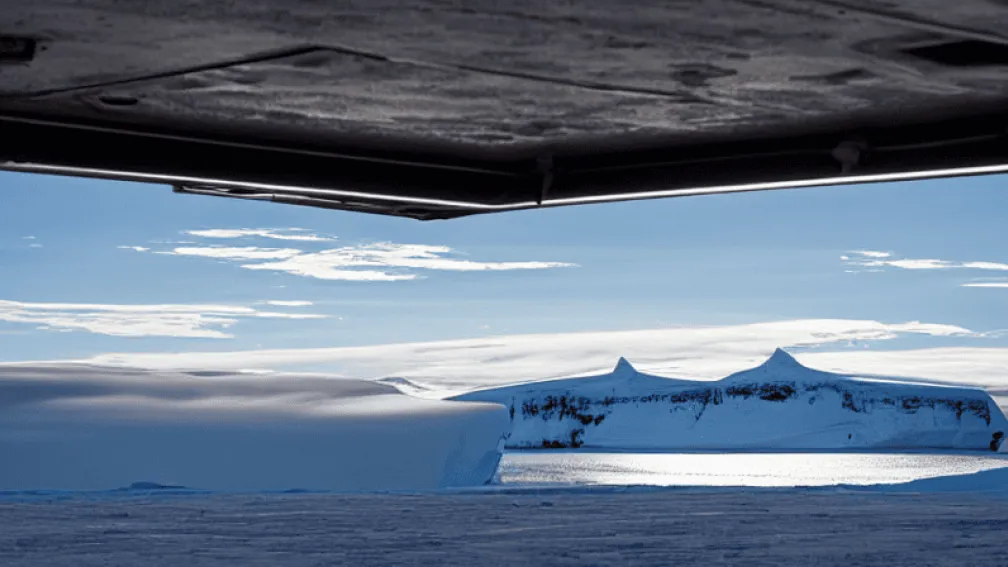 Invazia pestei aviare în Antarctica: Pinguinii în pericol, monitorizați de cercetători