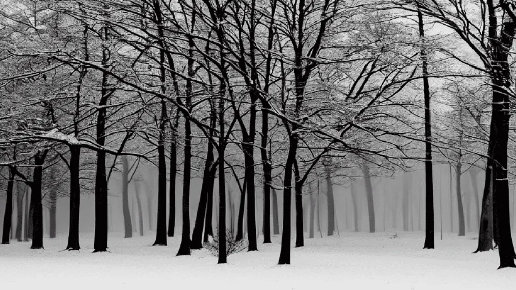 Pentti Sammallahti și arta sugestiei: Expoziție de fotografie alb-negru