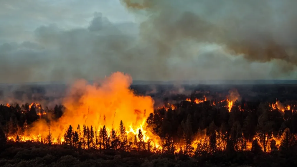 Incendii devastatoare în Asia: 26 de morți și pagube uriașe