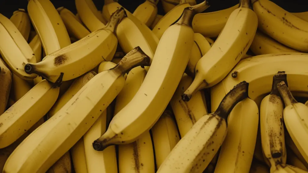 Hamburg: 2,5t cocaină în banane false