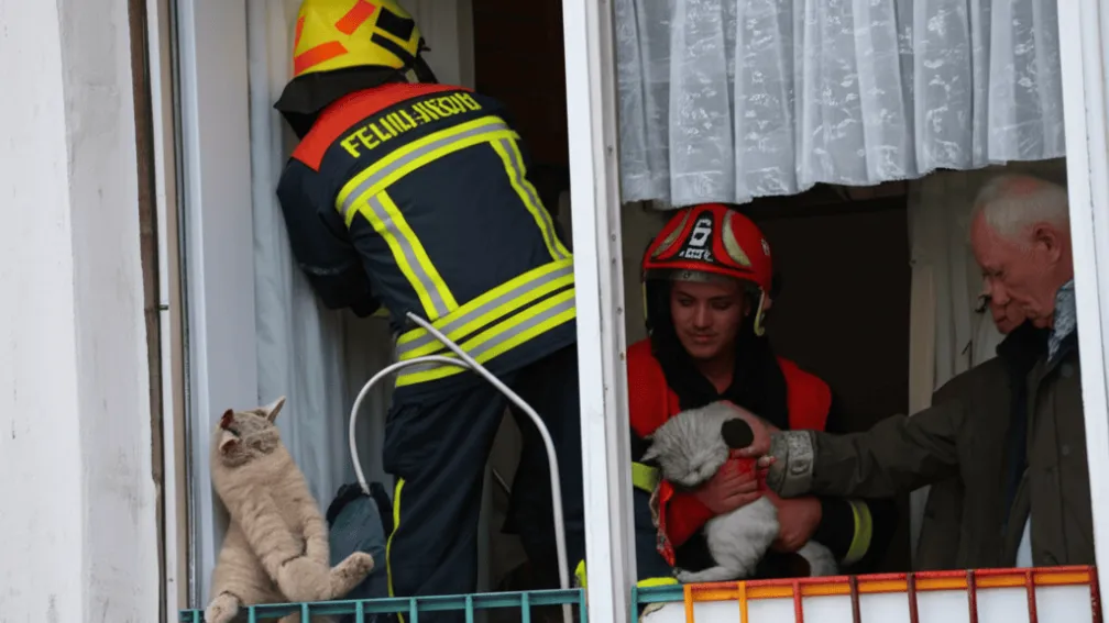 Pompierii Salvează Pisică Blocată în Osterburken