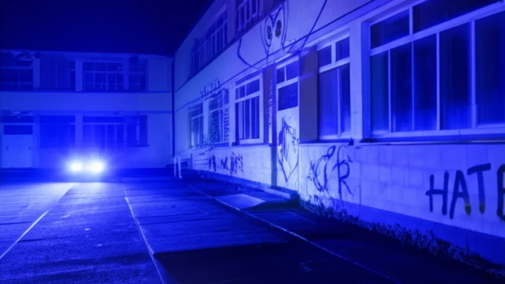 Profesară amenințată de neonaziști - părăsește școala după amenințări