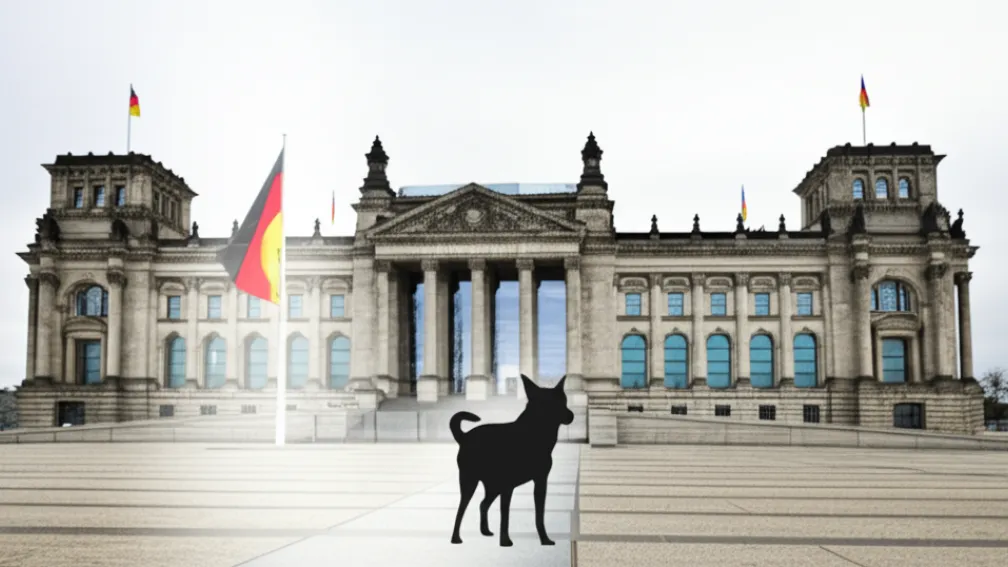 Câini interziși în Bundestag: Acces restricționat