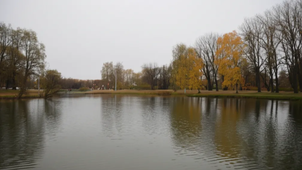 Tragedie în Nürnberg - Copil (4 ani) cade în lacul Wöhrder și moare