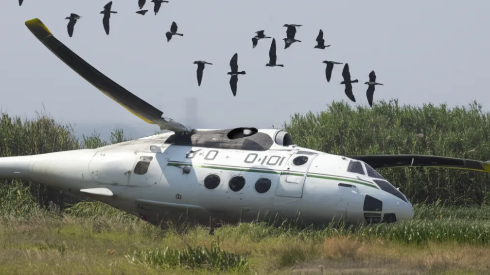 Nu e glumă! Elicopter prăbușit de un pinguin