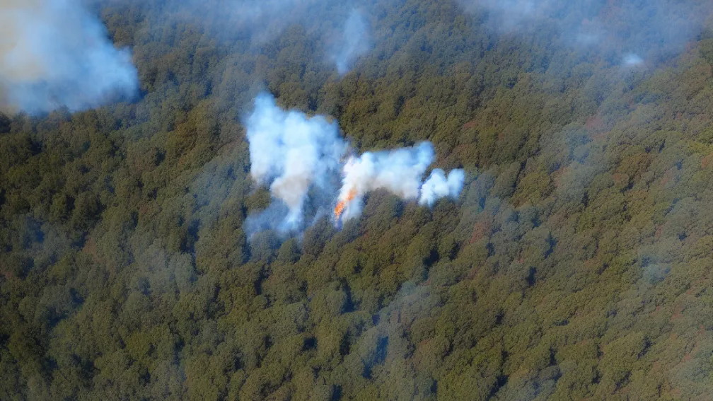Incendii devastatoare în Los Angeles - Un incendiu de pădure amenință localitățile de pe coasta de est a SUA