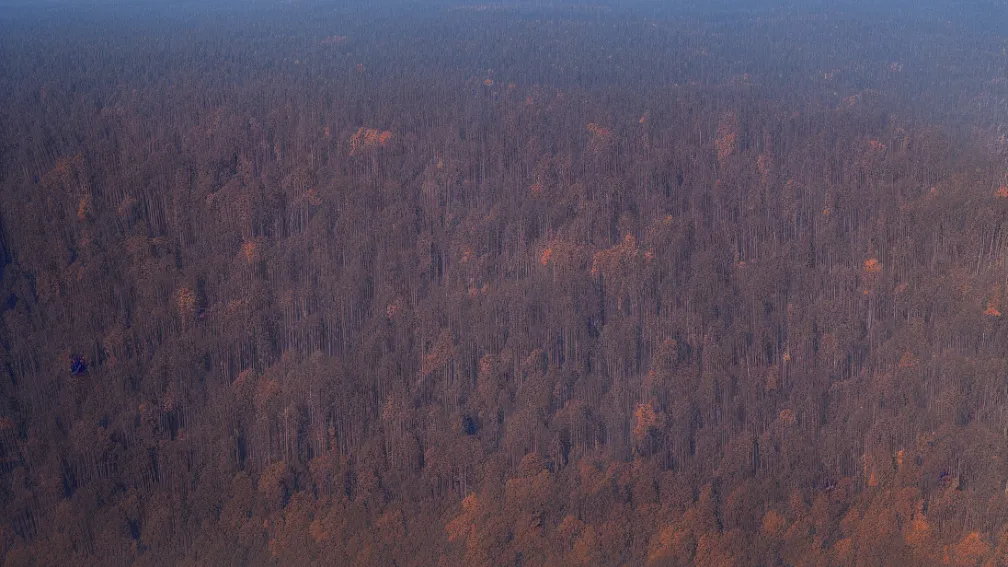 Ajutor în incendiul de pădure - Armata germană cere o sumă considerabilă