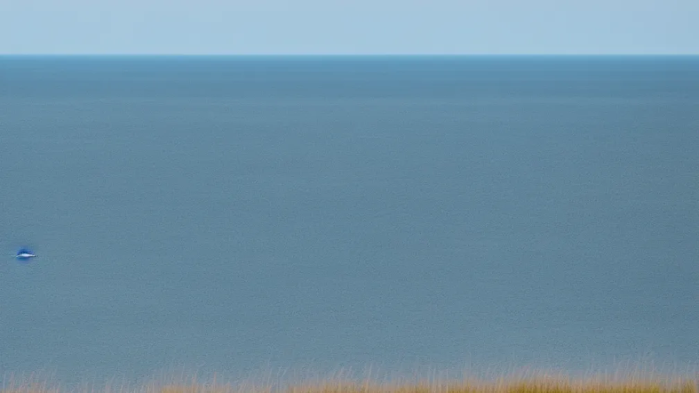 Alarm balenă în Marea Baltică - Un pescar zărește un gigant de șapte metri