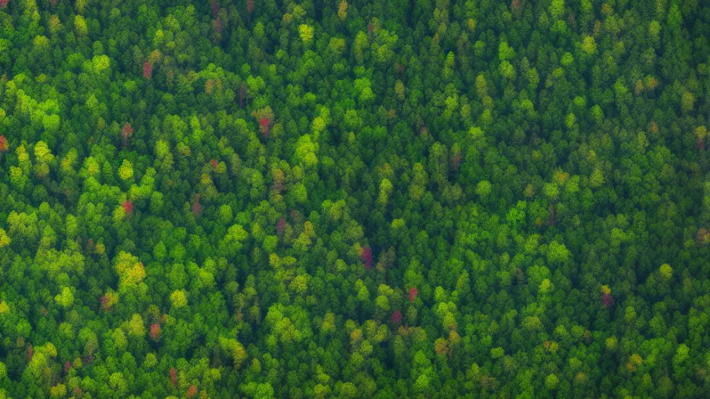 Lansare satelit Biomasă – ESA trimite un gardian pentru pădurile noastre în spațiu
