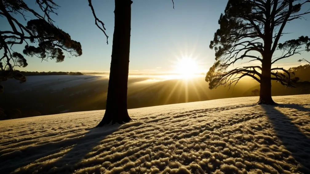 Modelul se răspunde: Caro Daur se gândește la o schimbare de cariere.