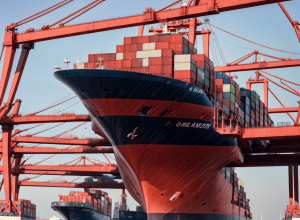 MSC, cel mai mare transportator de containere, își va dubla volumul de mărfuri în Portul Hamburg până în 2031