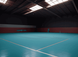 Club de handbal din Leipzig, lăsat fără sală de antrenament din cauza "absurdului autorităților": lipsă de personal