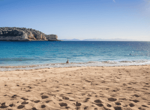 Turist găsește portofel pierdut în Mallorca și salvează vacanța proprietarei
