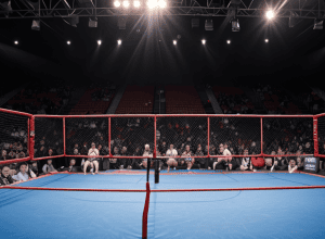 Box și MMA: O seară incendiară de lupte în Germania cu meciuri de campionat