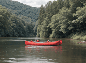 Turist de 71 de ani, răsturnat cu canoea pe Dunăre în Germania: S-a salvat și a continuat călătoria