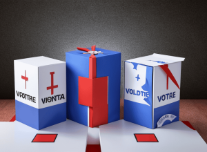 Scandal în Partidul Verzilor din Germania: Politician de marcă cere excluderea liderului de tineret pentru un tricou cu mesaj anti-poliție
