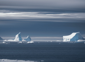 Eroii neașteptați ai climei: Cum pinguinii și excrementele lor ajută la răcirea Antarcticii