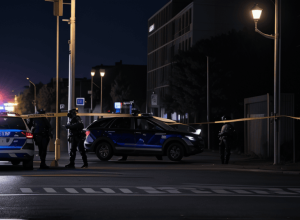 Atacuri asupra polițiștilor în Germania: Doi bărbați arestați în Güstrow și Teterow
