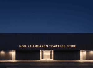 Două mașini, furate dintr-un teatru din Hildesheim, Germania: Au dispărut un Mercedes și un Volkswagen