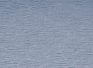 Lars Klingbeil (SPD) explică strategia pentru al doilea tur