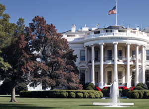 Trump instalează la Casa Albă „cei mai buni catarge din lume”, plătind din buzunarul propriu