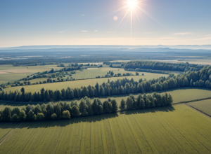 Val de căldură extremă în Germania: Se așteaptă temperaturi de până la +40°C săptămâna viitoare