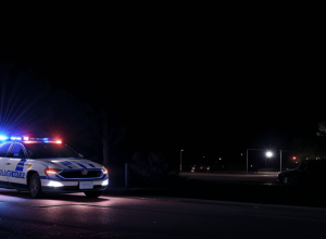 Scandal la o petrecere de logodnă în Germania: Un bărbat beat s-a bătut și a atacat un polițist