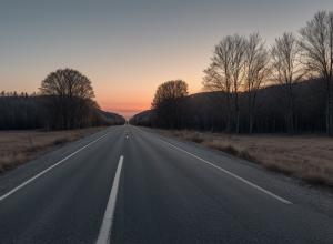 Accident tragic în Jakobsdorf: Șoferul a lovit mortal un câine și a fugit, proprietarul rănit în urmărire