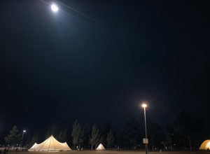 Adolescent bătut în Laupheim, Germania: Poliția caută martori