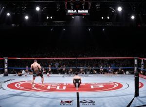 Şoc uriaş în Hamburg: Starul MMA Christian Eckerlin a fost învins prin knockout în fața lui Robert Pukac
