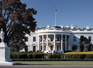Merz și Trump la Casa Albă: Partidul german AfD, un subiect delicat?