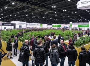 Cea mai mare expoziție de canabis din lume se desfășoară la Berlin: Așteptați 60.000 de vizitatori
