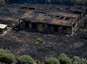 Incendiu pornit de la grătar: Vecinii au ars proprietatea vecină, pagube de 100.000 de euro în Germania